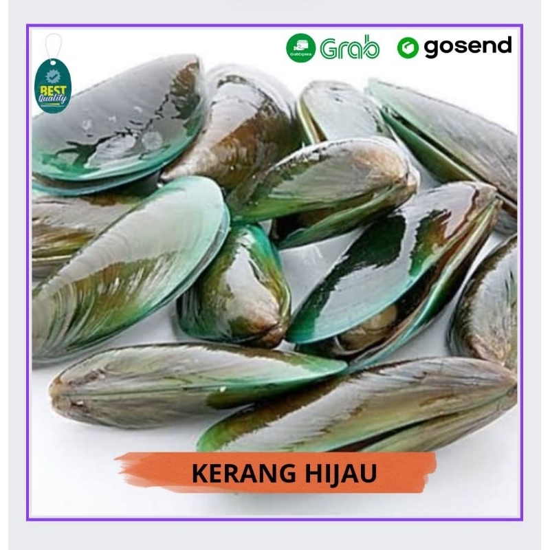 

Kerang Ijo Cangkang Segar - 1000gr