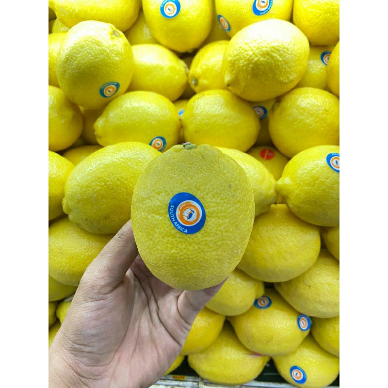 

Lemon Import South Africa | Buah lemon Afrika 1 lg