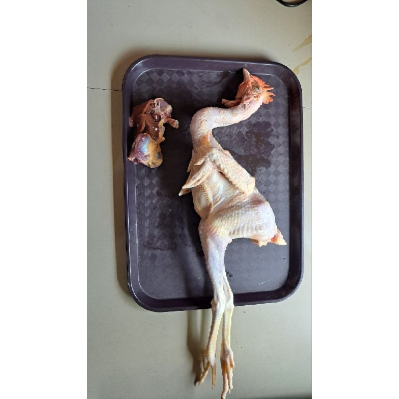 

Ayam kampung asli berat bersih 1.1 kg