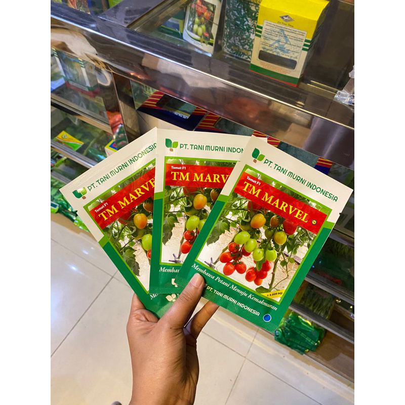 Benih/Bibit Tomat Besar TM Marvel 10gr