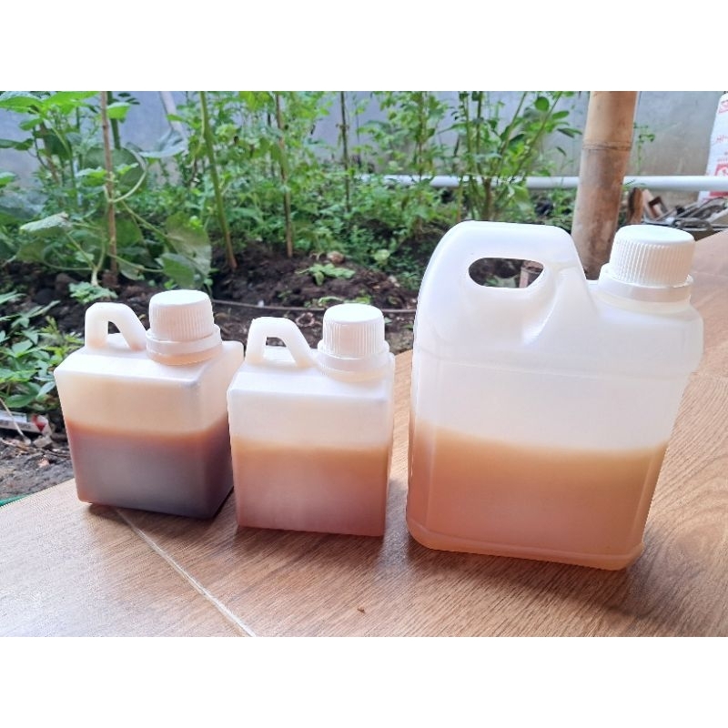 

Madu murni / Raw honey 500 gr