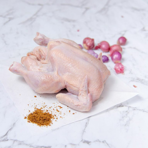 

Ay00! Ayam Broiler Frozen 600 Gram/Ayam 0607/Ayam Potong/Ayam Murah