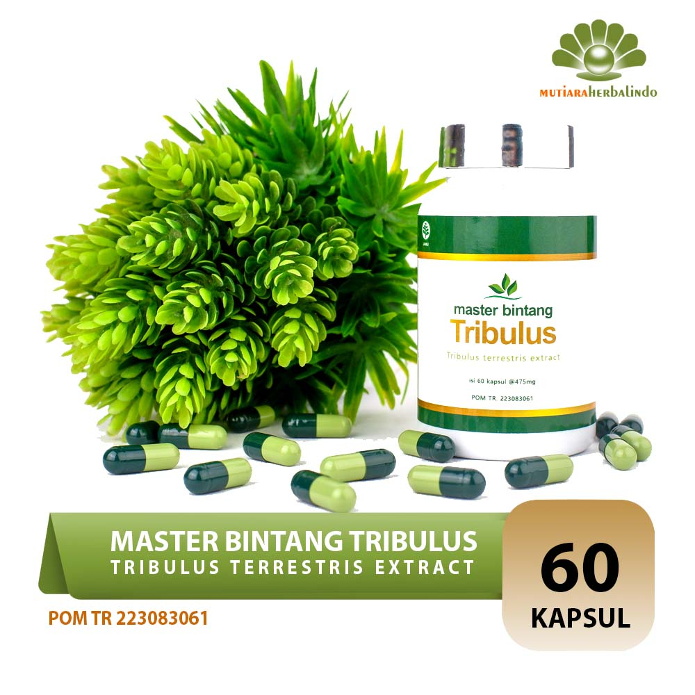

Master Bintang Tribulus Terrestris Extract Stamina Hipertensi hormon