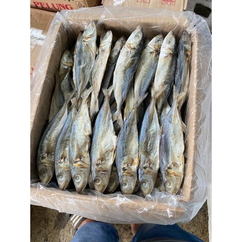 

ikan asin PEDA LAYANG/BOLOCOT; 500 GRAM