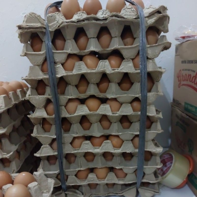 

Telur ayam negeri 1 tray selalu fresh dan kualitas bagus