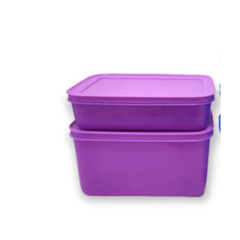 Terlaris Tupperware Frozy Cozy Medium 2.5L