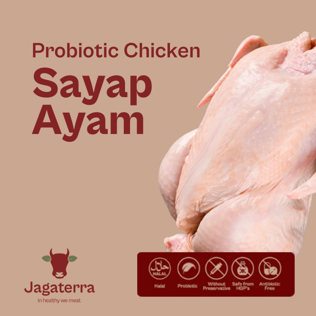 

Sayap Ayam Negri (900gr-1KG) - Berkah