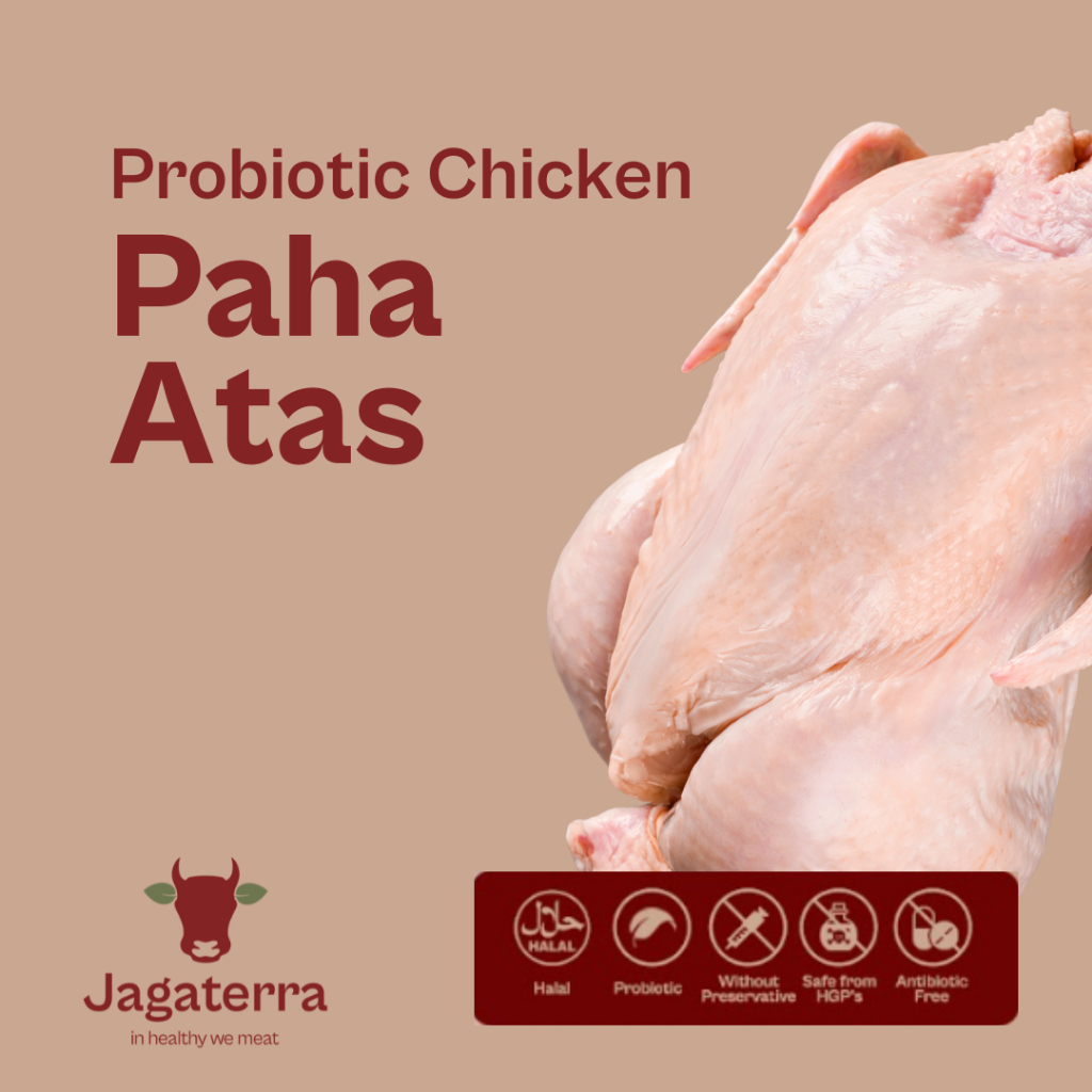 

Paha Atas Ayam Negri (900gr-1kg) - Berkah.