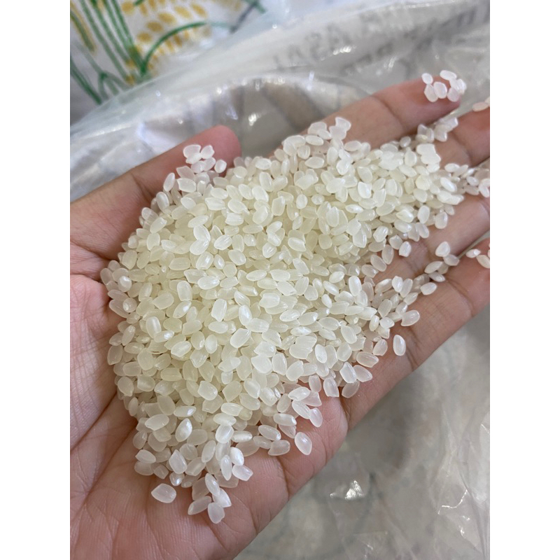 

beras Jepang japonica