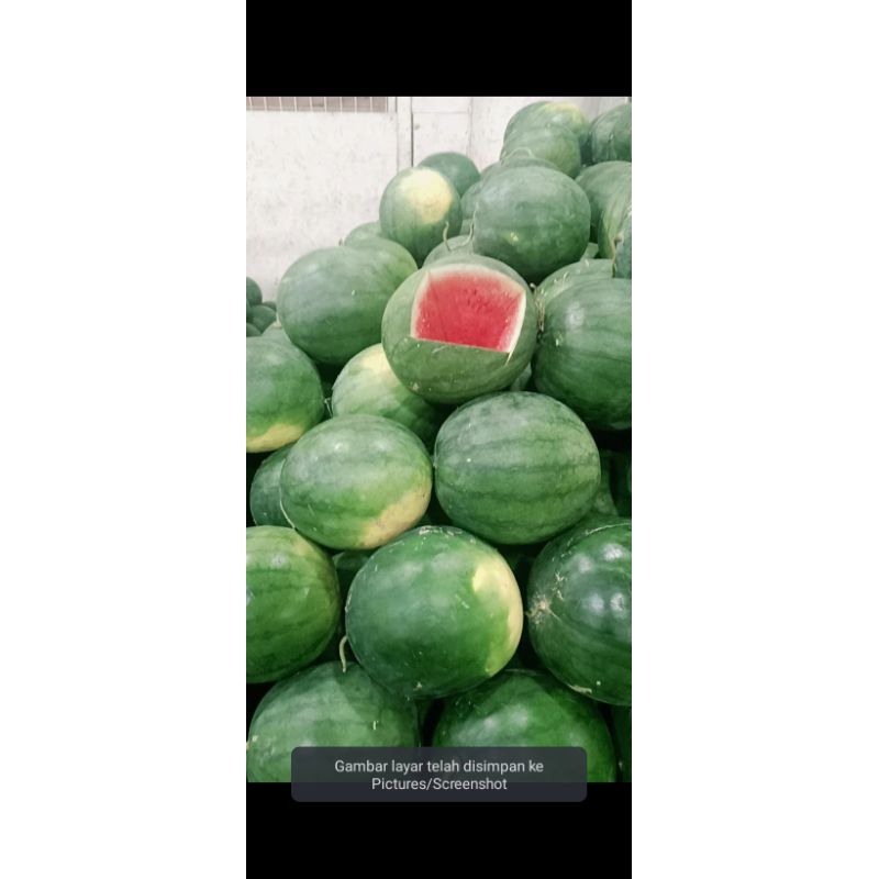 

Semangka merah Non Biji/tanpa Biji.1Butir 4.kg.