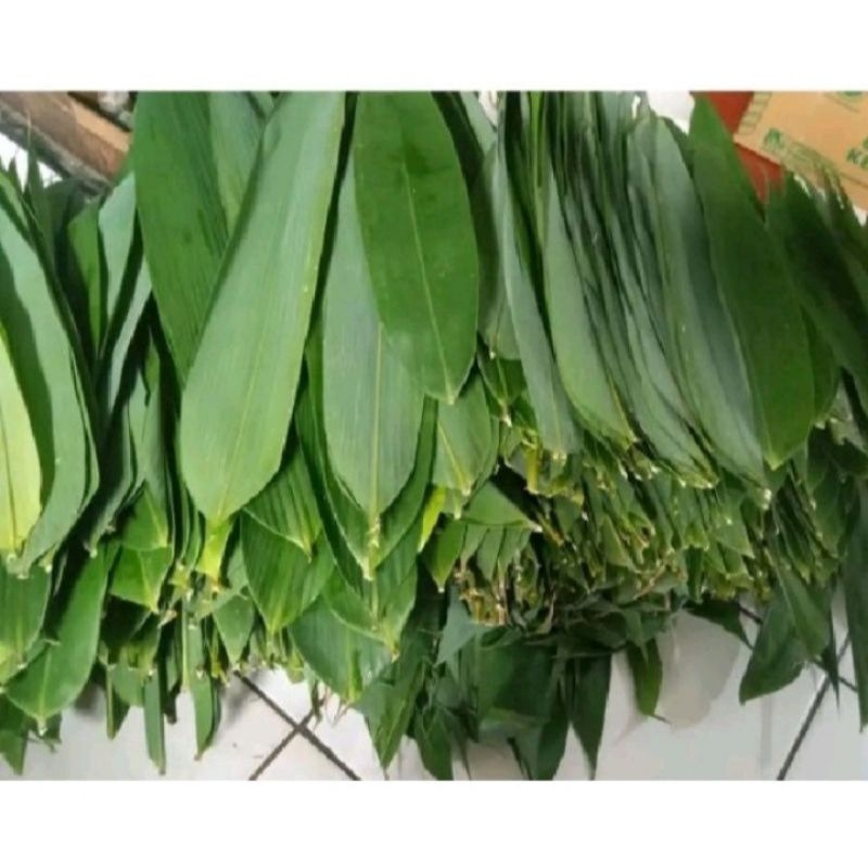 

Daun bambu segar perlembar di ambil dadakan