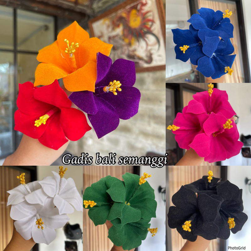 cucuk pucuk rejuna / semanggi / bunga hair do