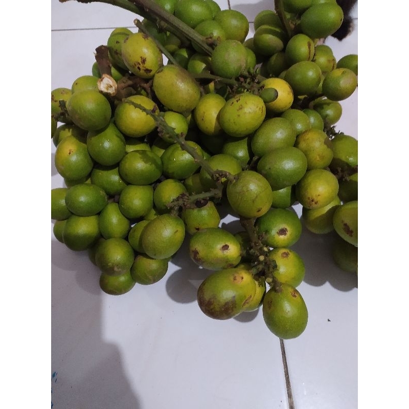

buah matoa/matoa manis/buah hutan