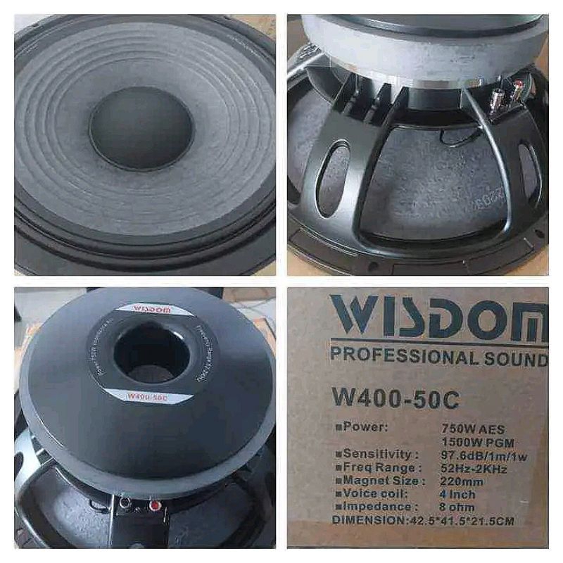 SPEAKER WISDOM W400-50C