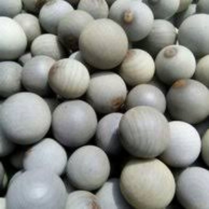 

Biji Kalaloyang / Gorek / 1 kg