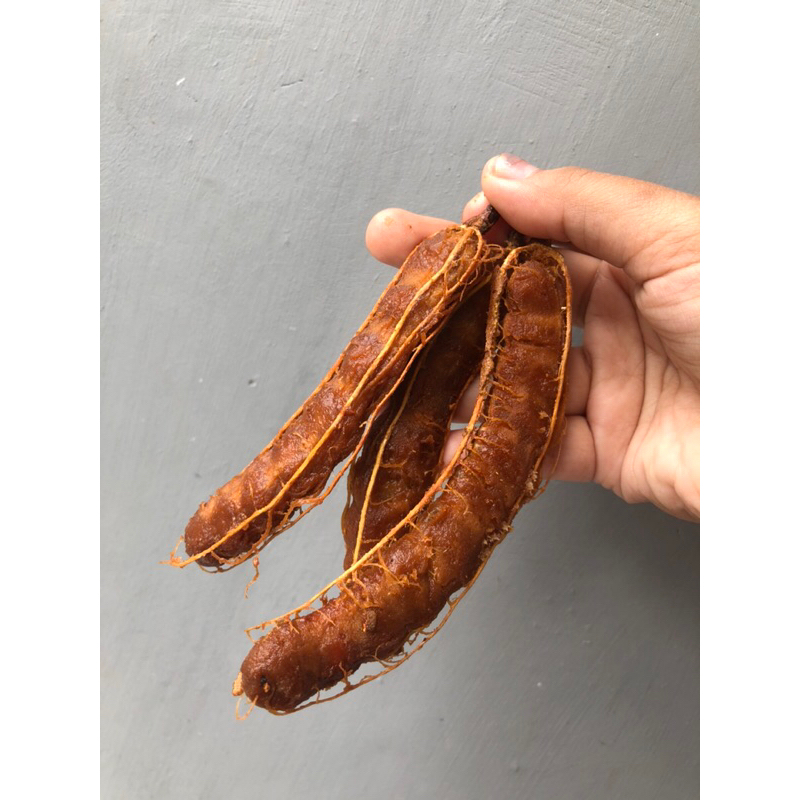 

asam jawa segar fresh tanpa pengawet sudah di kupas tanpa biji