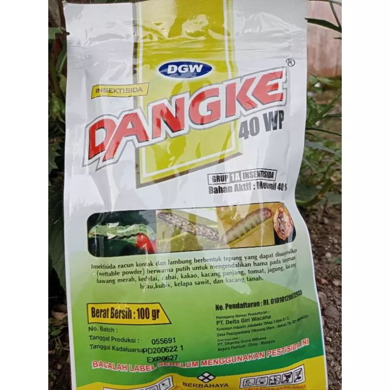 Dangke 40 WP