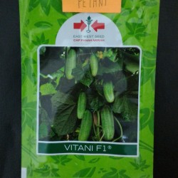 benih bibit timun lalap vitani f1 cap panah merah - TIMUN VITANI F1