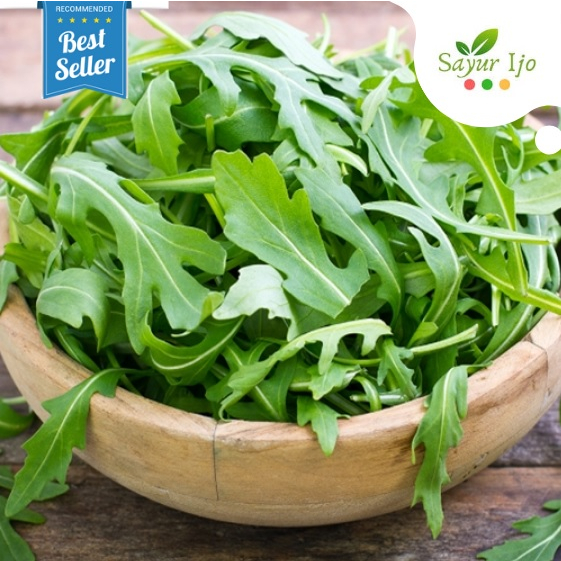 

Arugula (Wild Rocket) Hidroponik 100 Gram / Pack Fresh Sayur Hydro Segar