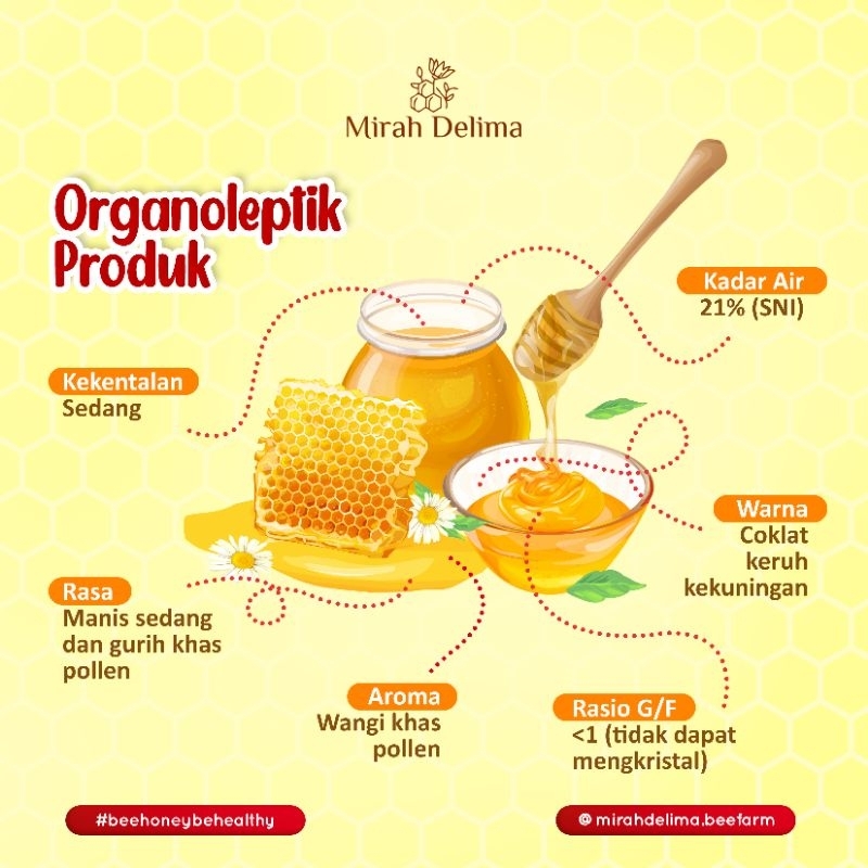 Lukchup_Oiyen Madu Super Propolis - Madu + Royal Jelly + Bee Pollen + Propolis - 500 Ml