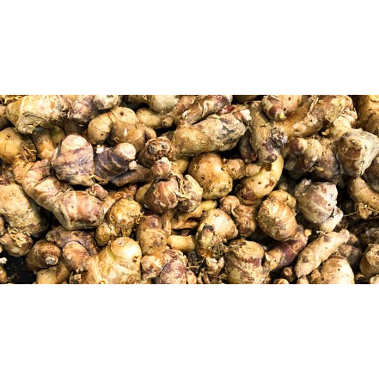 

KENCUR 500g MURAH ALAMI REMPAH