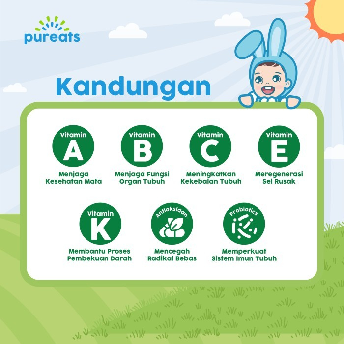 Pureats Smoothie Melts 18gr - Snack Anak Bayi