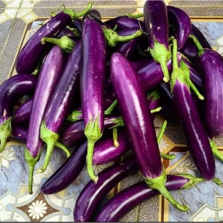 

Terong ungu 1000gr