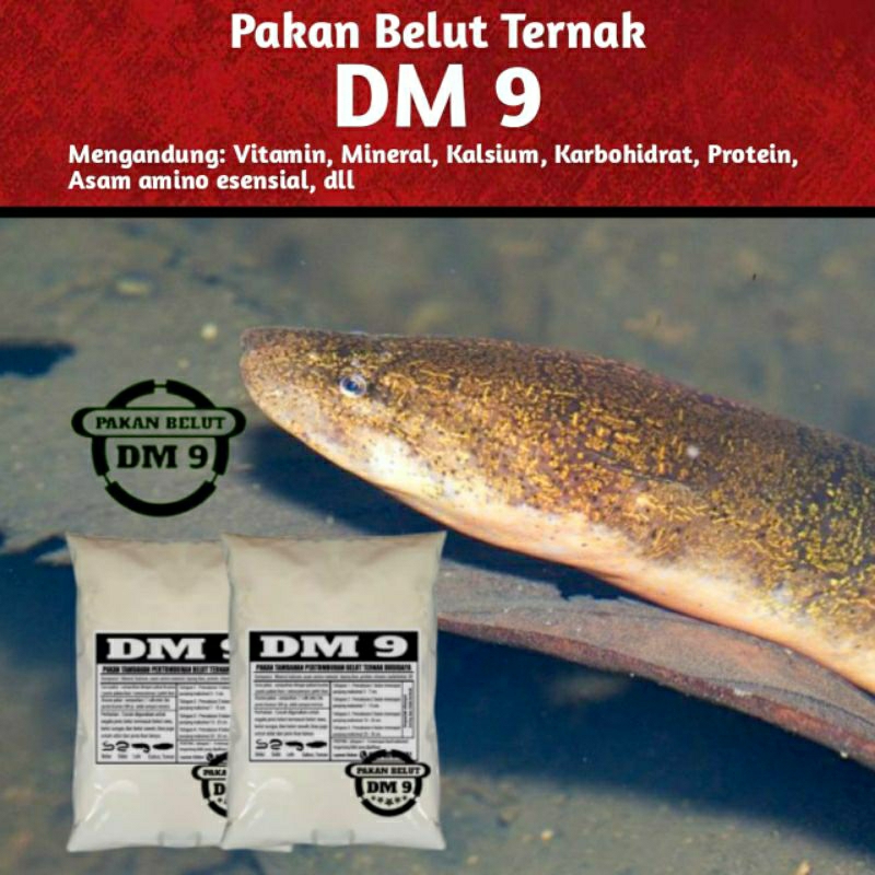Pakan belut ternak budidaya dm 9 1kg  petani alternatif suplemen vitamin