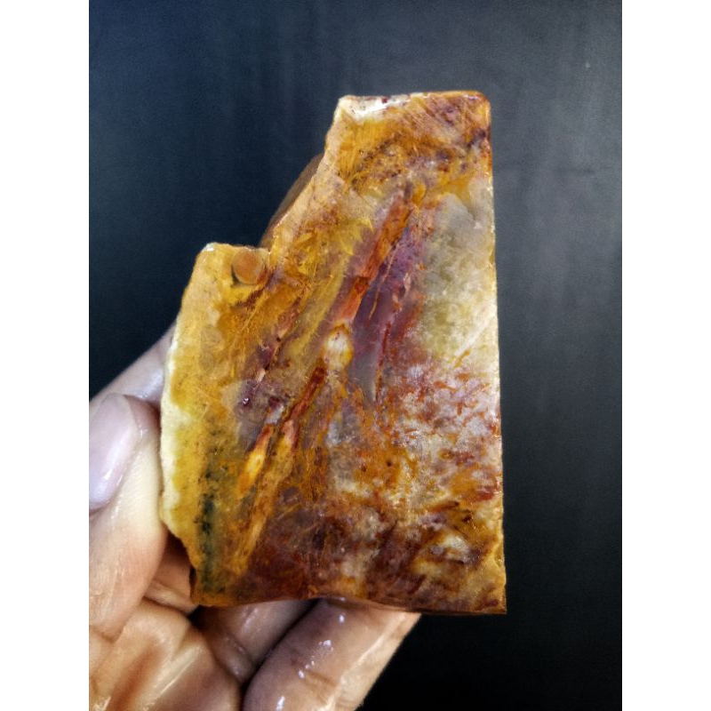 Rough Bahan Fosil Kelor Merah