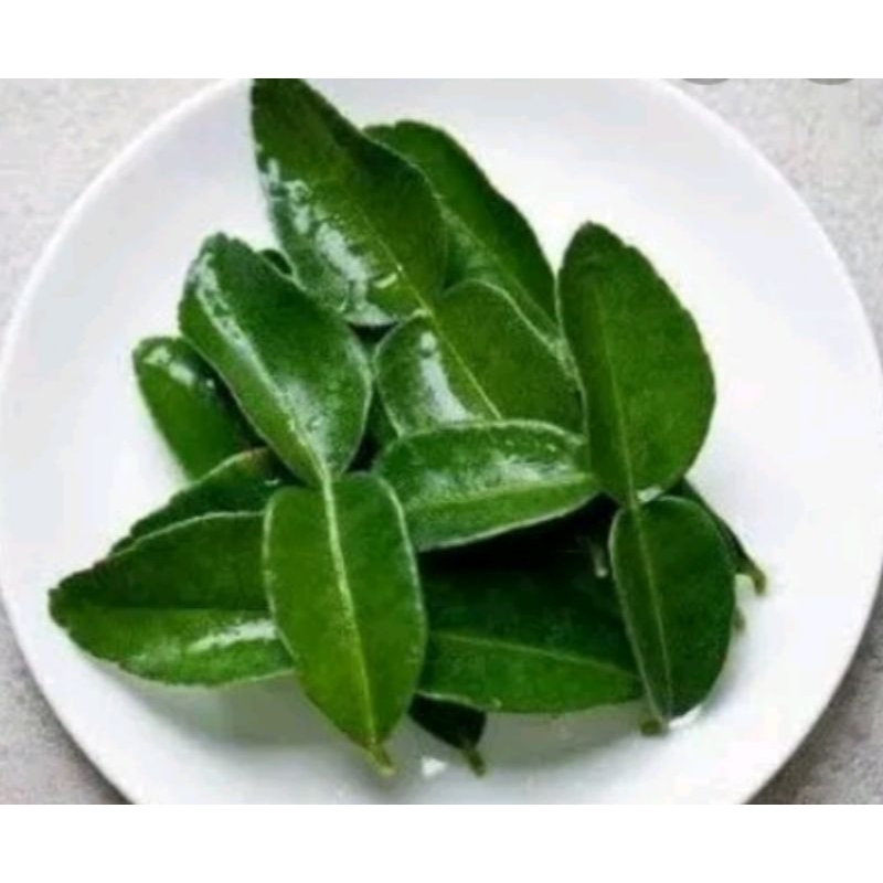 

Daun jeruk purut segar per pack