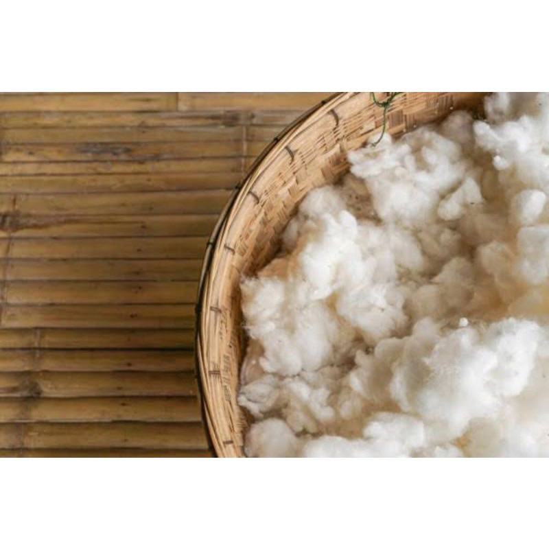 Kapuk Randu Asli Tanpa Biji Campuran