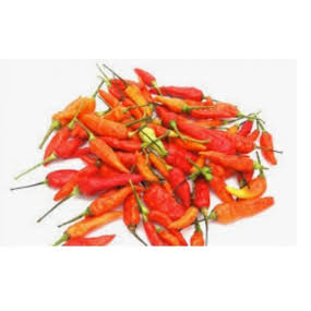 

Cabe Rawit merah ORI / Cabe rawit merah 500 gr Super pedas