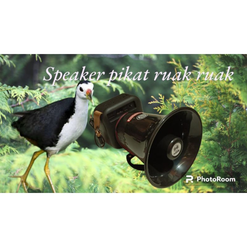 speaker pikat burung ruak ruak new 3 baterai 