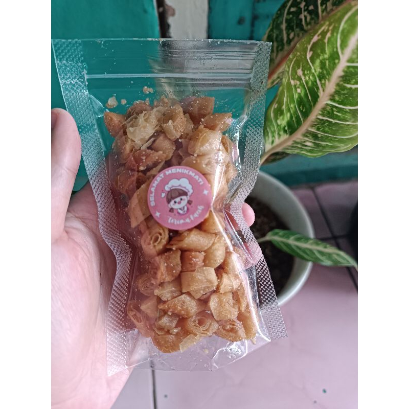 

keripik kulit lumpia asin