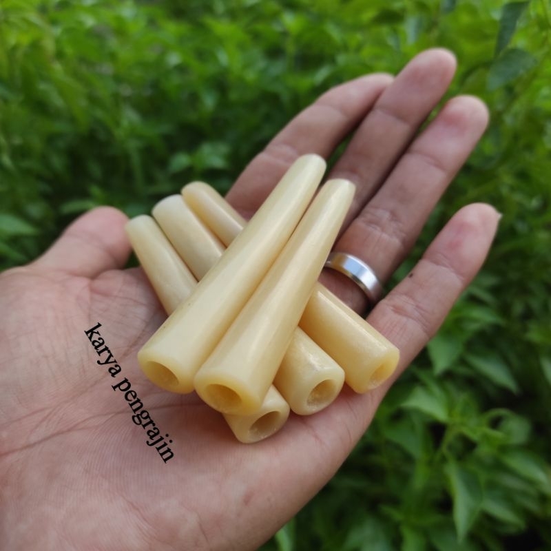 ONCE TULANG IGA SAPI BULAT KUNING GADING BERVARIASI MURAH ASLI GURIH