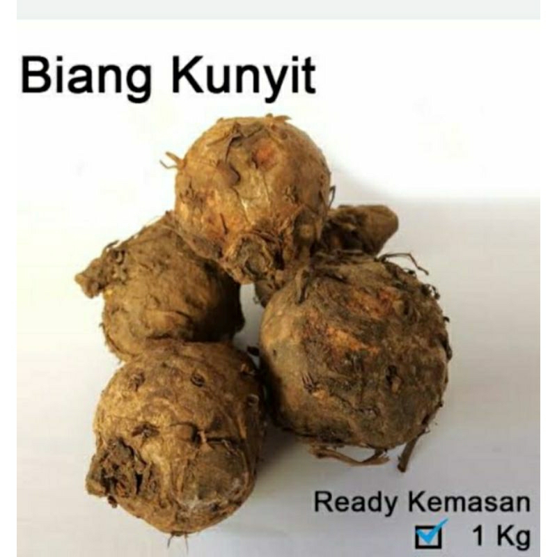 

biang kunyit super lembut 1kg