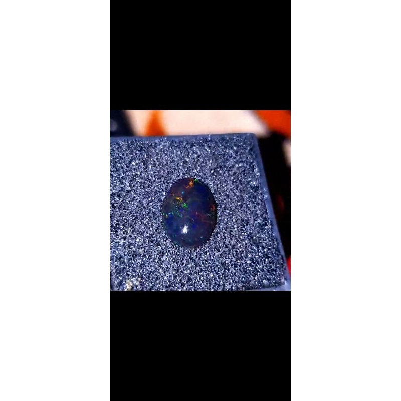 Batu Kalimaya Black Opal Banten Asli Maja K21
