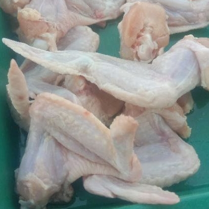 

Sayap ayam