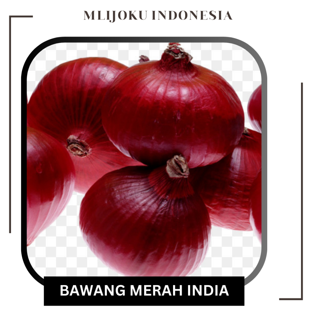 

Bawang Merah India Super, 100gr, 250gr, 500gr