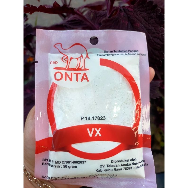 

Onta VX 50gr