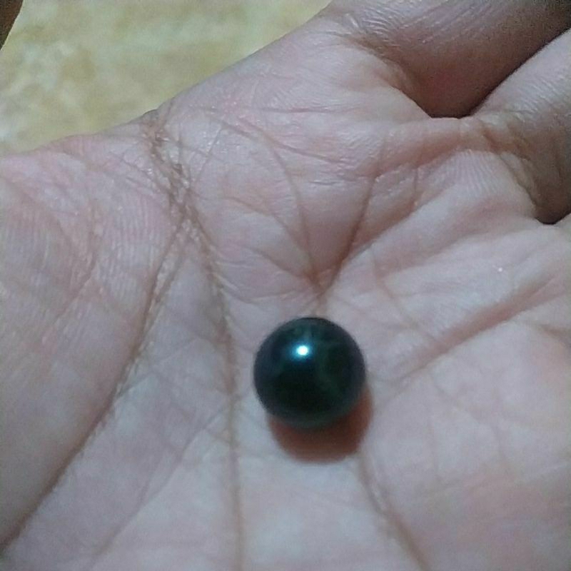 mutiara lepasan warna hitam air laut grade AAA