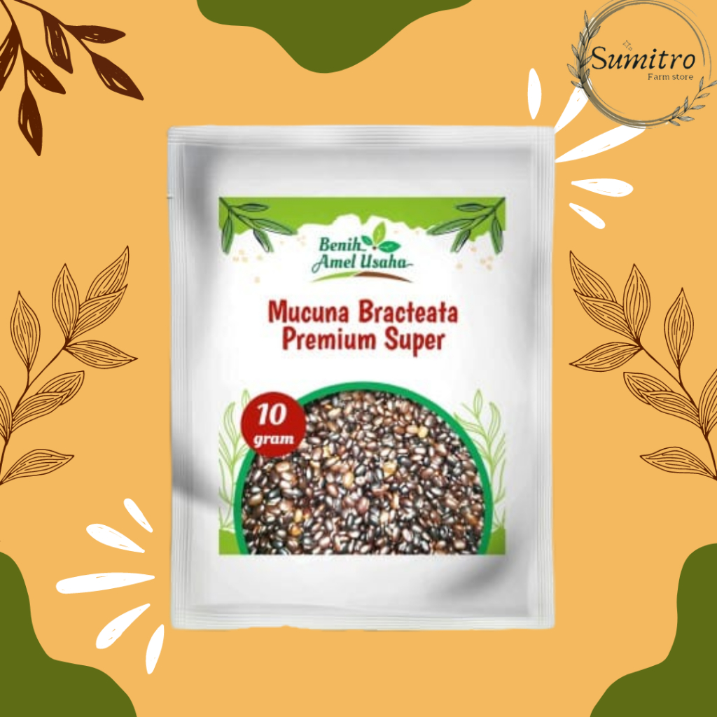benih mucuna bracteata PREMIUM super isi 10 gram / bibit benih mucuna premium anti hama / benih kaca