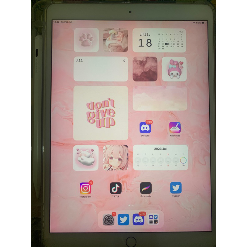 ipad pro 2017 256 GB