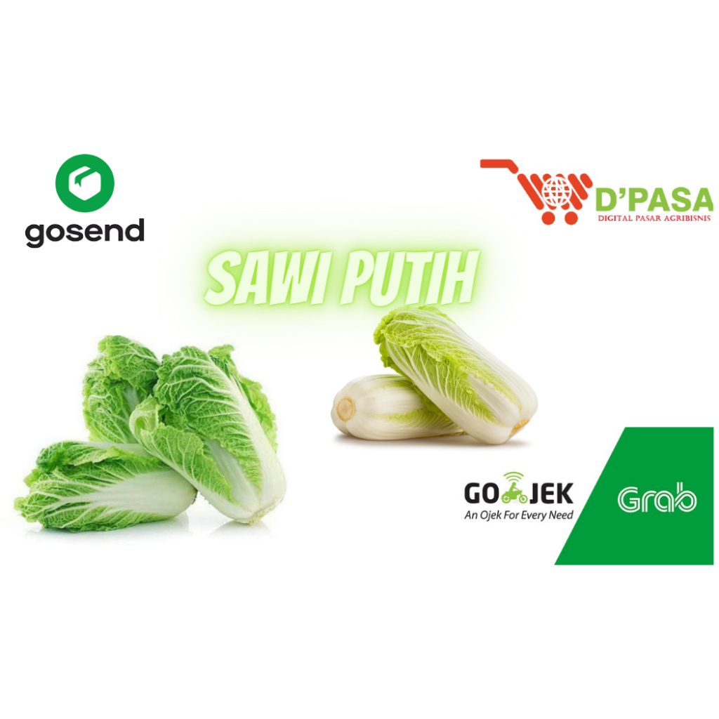 

KIRIM INSTAN Sayuran Sayur Sawi Putih Segar 500gr