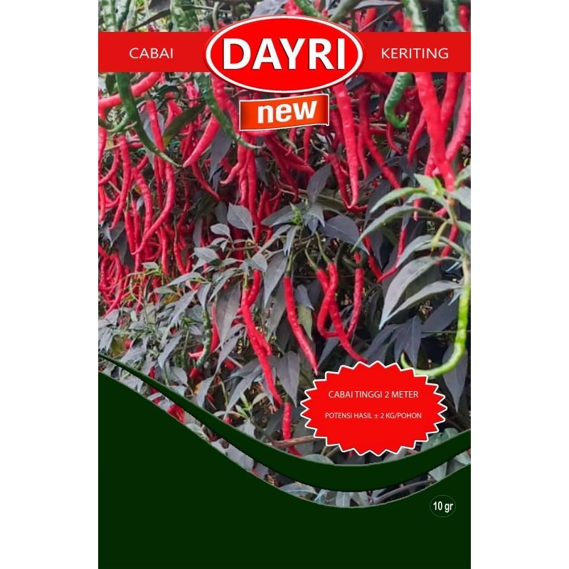 DAYRI(cabe keriting lokal)