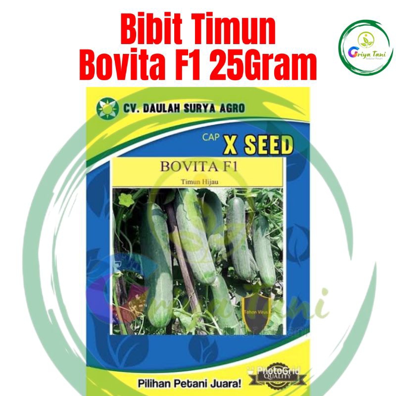 BENIH TIMUN BOVITA 25GRAM XSEED