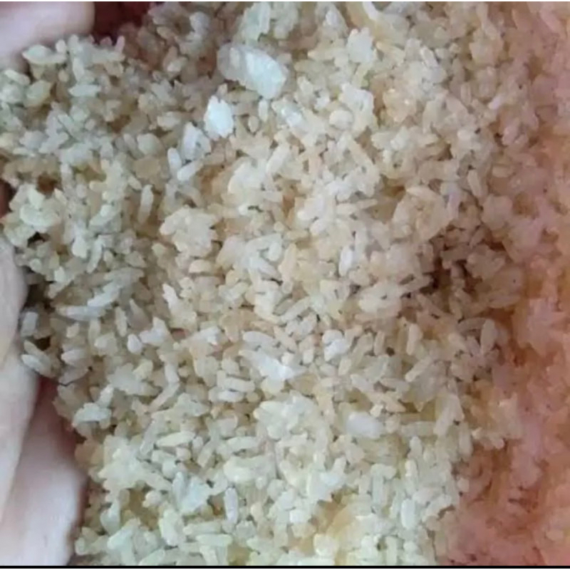 

nasi karak / nasi aking pakan ternak kemasan 1kg