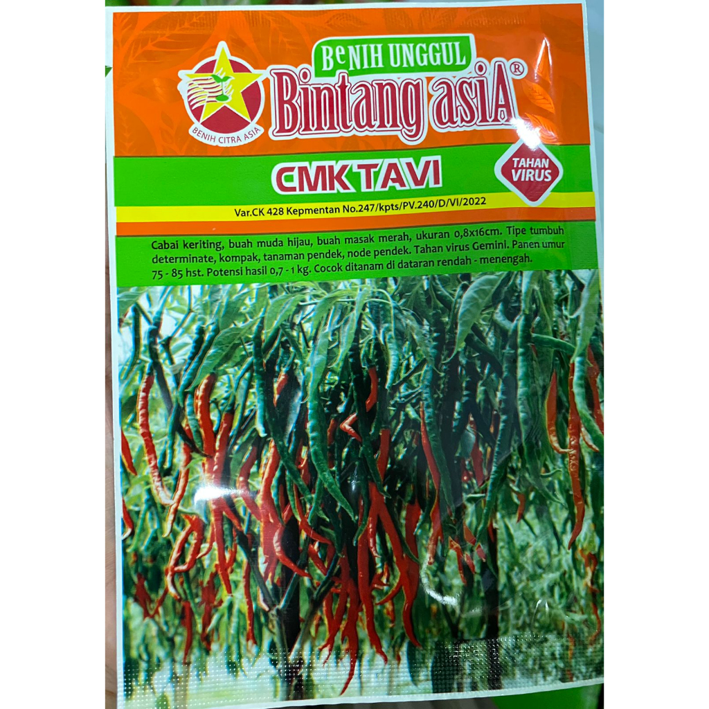 Benih cabe keriting CMK TAVI 10 gr BINTANG ASIA