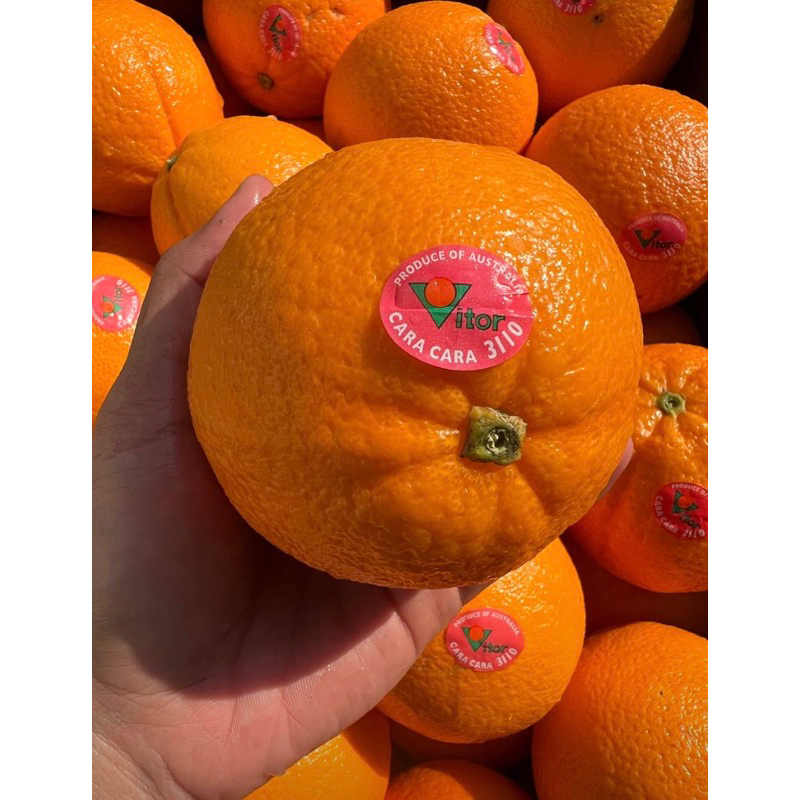 

jeruk cara cara australia manis fresh