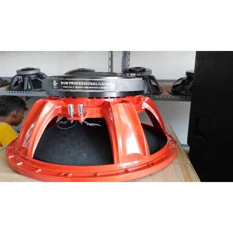 sepiker 18 inch PD RDW LS1885 sepul coil 5 inch